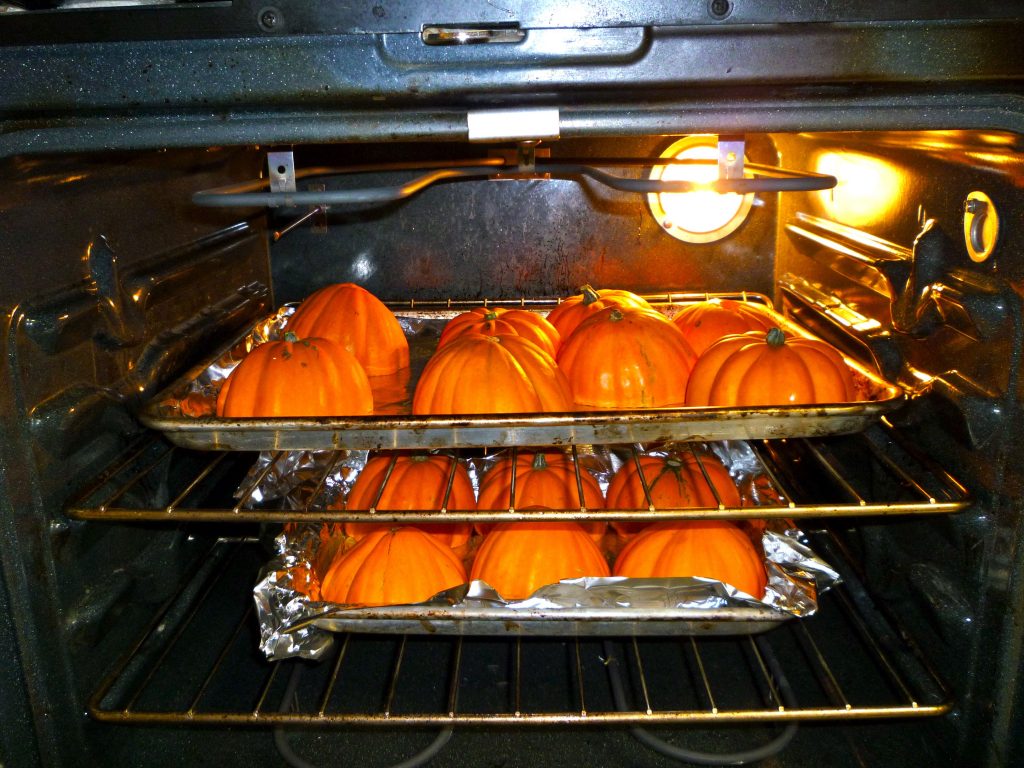 What to Do with LOTS of Squash? Make convenience food! Plain & Simple